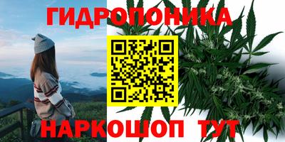 спайс Краснознаменск