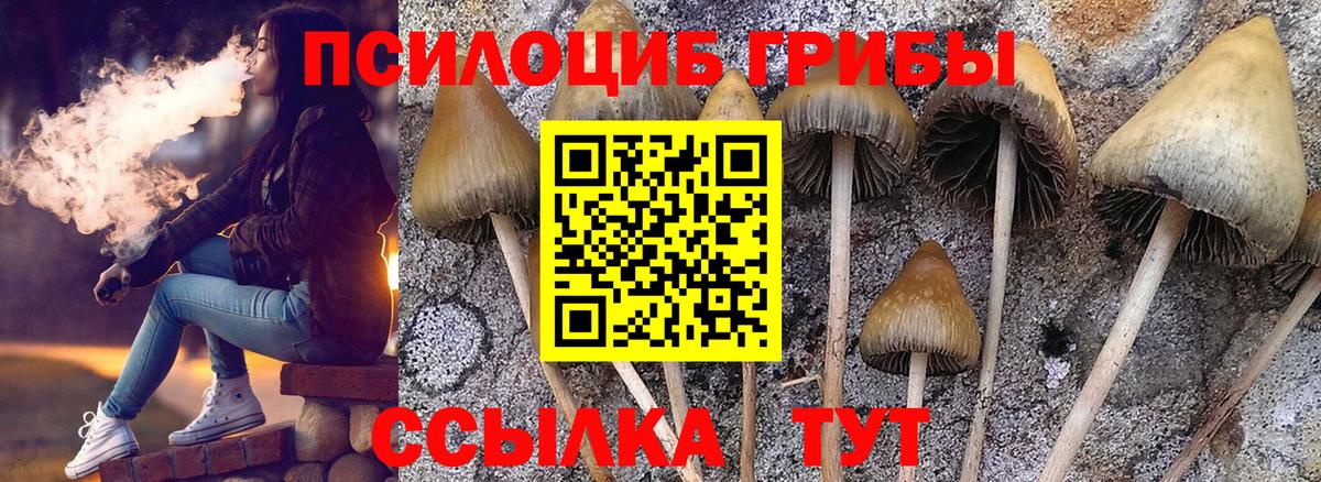 Псилоцибиновые грибы MAGIC MUSHROOMS  Вход с VPN  Котельники  цены   Галлюциногенные грибы Psilocybe 